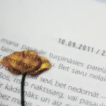 A text with a printed flower on it
