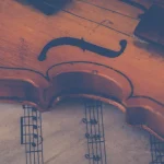 Violin on top of music notes